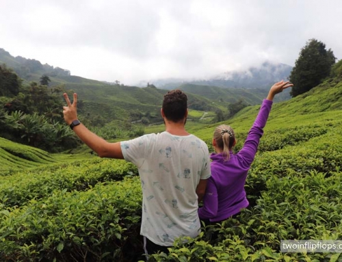 The best ways to explore the Cameron Highlands in Malaysia