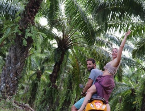 5 reasons why you should explore Koh Lanta Yai