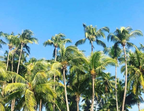 Getting from Ngapali Beach to Yangon