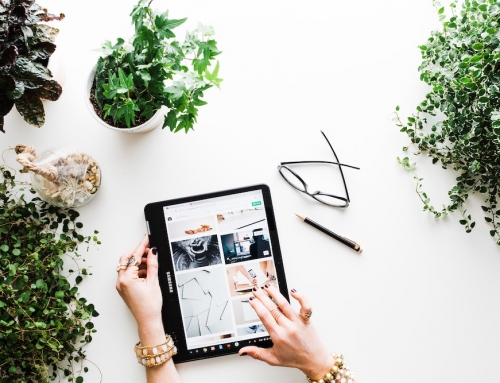 5 Basics to Selling Online Courses & Coaching as a New Coach