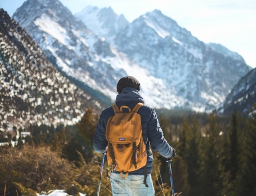 4 Beginner-Proof Steps to FIRE Financial Independence Retire Early